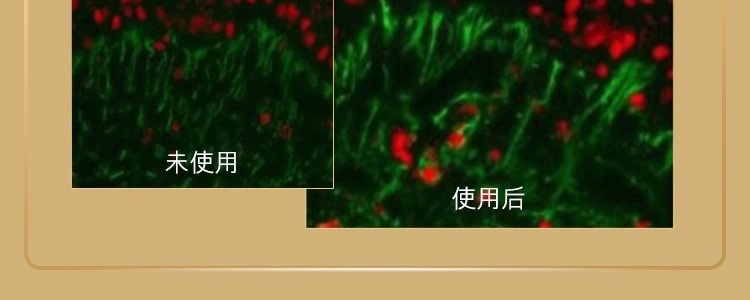 图像2025-6-27 17.54 (6).jpeg