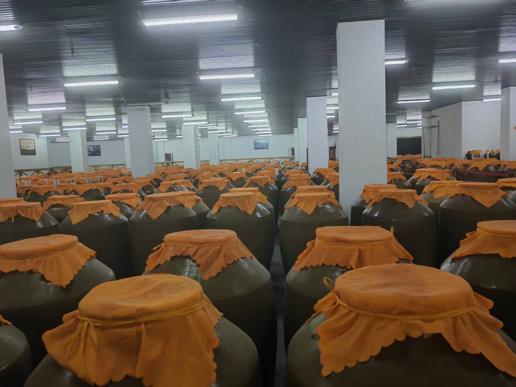 1753107051314282.jpeg 2441752896670_.pic.jpeg